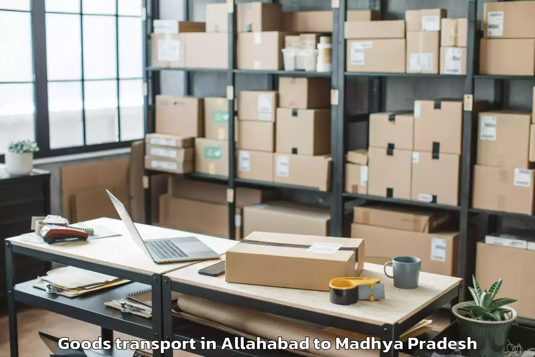 Discover Allahabad to Dabra Goods Transport